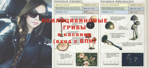 бутират Армянск