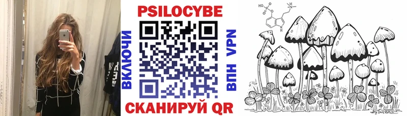 omg ONION  Избербаш  Псилоцибиновые грибы мицелий 