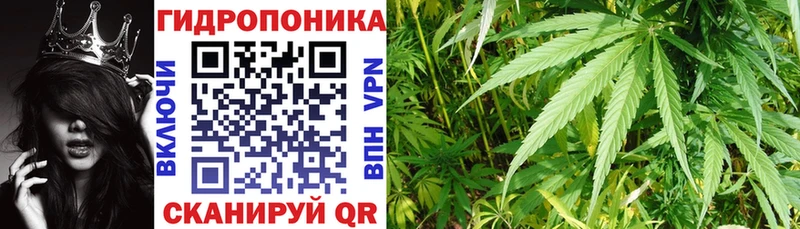 МЕГА ONION  где найти   площадка официальный сайт  Бошки марихуана Bruce Banner  Избербаш 